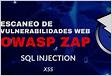 Guia OWASP ZAP Como Usar, Instalar, e Detectar